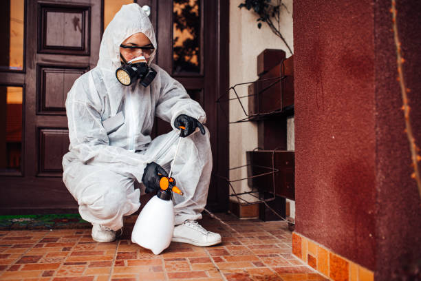 Reliable Bed Bug Control contractor in Springville, NY by Nex Pest Control